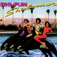 Purchase Shalamar - Big Fun (Vinyl)