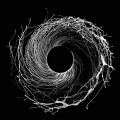 Buy Dawn Of Midi - Dysnomia Mp3 Download