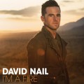 Buy David Nail - I'm A Fire Mp3 Download