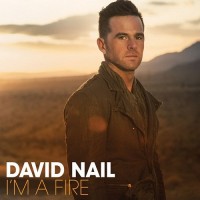 Purchase David Nail - I'm A Fire