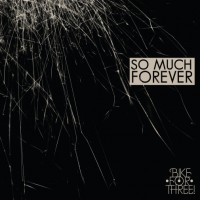 Purchase Bike For Three! - So Much Forever
