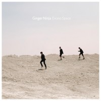 Purchase Ginger Ninja - Excess Space