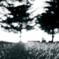 Buy Woodworkings - Day Breaks The Morning Shapes We Speak Mp3 Download