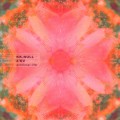 Buy Z'ev - Artificial life Mp3 Download