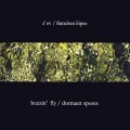 Buy Z'ev - Buzzin' Fly & Dormant Spores CD2 Mp3 Download