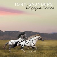 Purchase Tony Saunders - Appaloosa