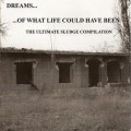 Buy VA - Dreams... Of What Life Could Have Been: The Ultimate Sludge Compilation Mp3 Download