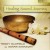 Buy Terry Oldfield & Soraya Saraswati - Healing Sound Journey Mp3 Download