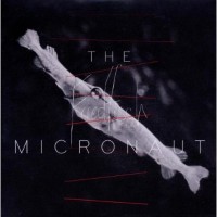 Purchase The Micronaut - Friedfisch
