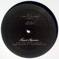 Purchase Theo Parrish - Dance Of The Medusa (VLS)