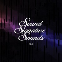 Purchase Theo Parrish - Sound Signature Sounds Vol. 2