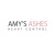 Buy Amy's Ashes - Heart Control Mp3 Download