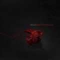 Buy Medule - Beneath The Shallow Mp3 Download