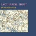 Buy Saccharine Trust - Worldbroken (Vinyl) Mp3 Download