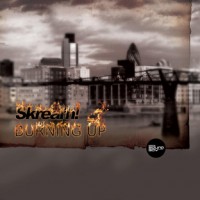 Purchase Skream - Burning Up (CDS)