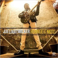 Purchase Joe Louis Walker - Hornet's Nest