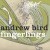 Purchase Andrew Bird- Fingerlings MP3