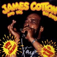 Purchase James Cotton And His Big Band - Live From Chicago: Mr. Superharp Himself! (Vinyl)