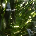 Buy Andrew Thomas - Fearsome Jewel Mp3 Download