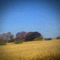 Purchase Sun Kil Moon - Benji (Limited Edition) CD1