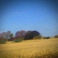 Buy Sun Kil Moon - Benji (Limited Edition) CD2 Mp3 Download