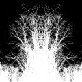 Buy When Woods Make Graves - A Midnight Window (CDS) Mp3 Download