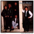 Buy Sawyer Brown - The Boys Are Back Mp3 Download