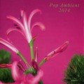 Buy VA - Pop Ambient 2014 Mp3 Download