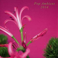 Purchase VA - Pop Ambient 2014