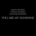 Buy Jamey Johnson - You Are My Sunshine  (CDS) Mp3 Download