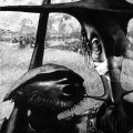 Buy strachy na lachy - Dodekafonia Mp3 Download