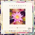 Buy Cherokee - Don't Matter (Feat. Darianna Everett) (CDS) Mp3 Download