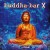 Purchase VA- Buddha Bar X (Weiqi) CD2 MP3