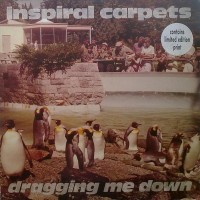 Purchase Inspiral Carpets - Dragging Me Down (CDS)