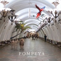 Purchase Pompeya - Tropical