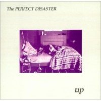 Purchase Perfect Disaster - Up