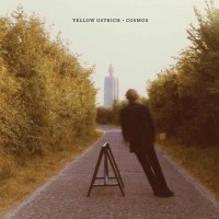 Purchase Yellow Ostrich - Cosmos