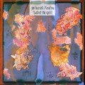 Buy Jon Hassell - Flash Of The Spirit Mp3 Download