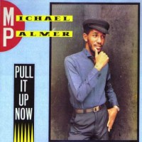 Purchase Michael Palmer - Pull It Up Now