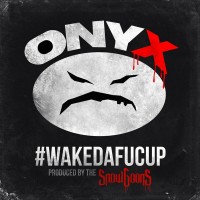 Purchase Onyx - Wakedafucup