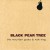 Buy The Mountain Goats - Black Pear Tree (EP) Mp3 Download