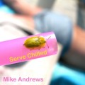 Buy Mike Andrews - Serve Chilled Mp3 Download