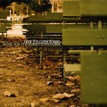 Buy Near The Parenthesis - Music For The Forest Concourse Mp3 Download