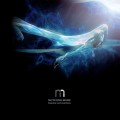 Buy Nothing More - The Few Not Fleeting Mp3 Download