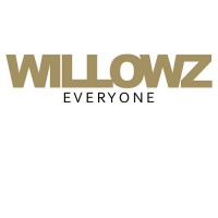 Purchase The Willowz - Everyone