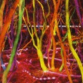 Buy Missing Persons - Lost Tracks Mp3 Download