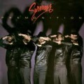 Buy Survivor - Japanese Papersleeve Collection: Premonition CD2 Mp3 Download