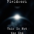 Purchase Fieldwork - This Is Not The End (CDS) Mp3 Download