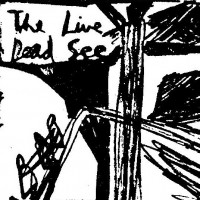 Purchase The Dead C - The Live Dead See
