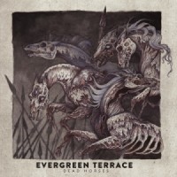 Purchase Evergreen Terrace - Dead Horses